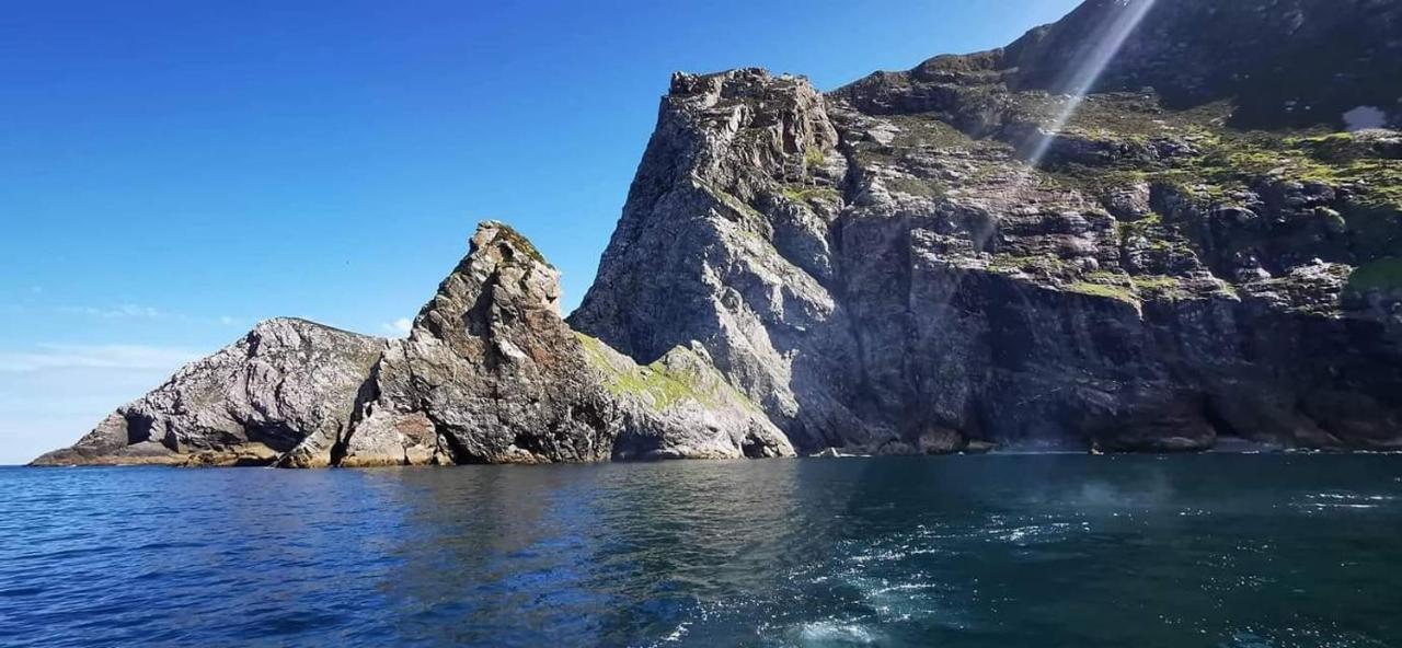 布鲁池兰李尔住宿加早餐旅馆 贝尔马利特 外观 照片